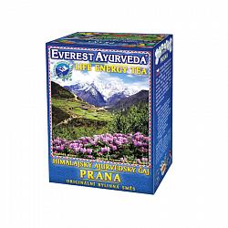 Prana - Vitalita a životní energie
